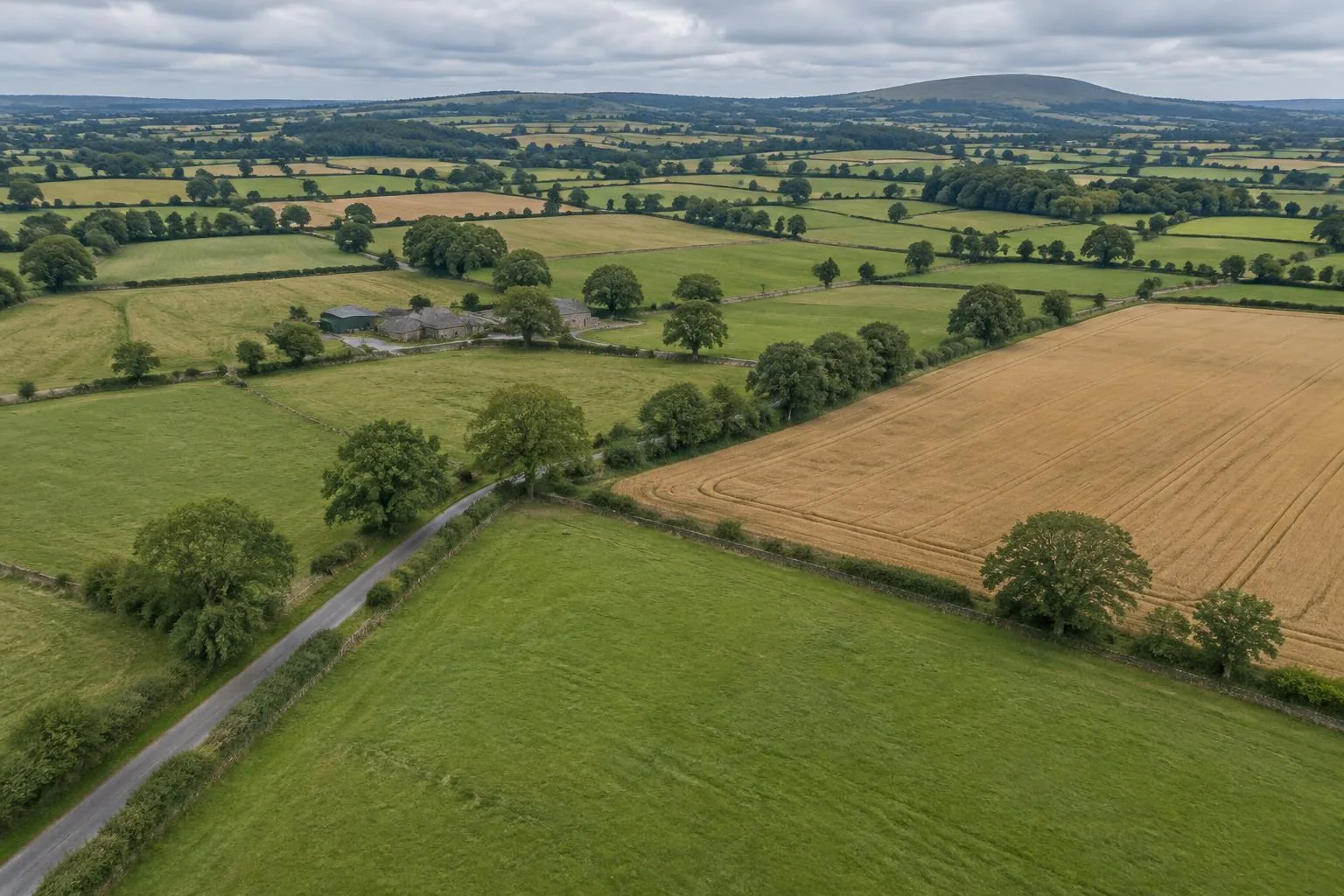 Preview of the article: Can You Build Padel Courts on Agricultural Land?